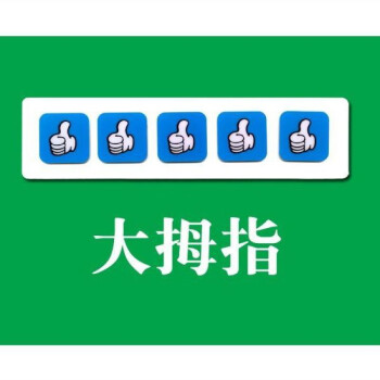 自閉症孤獨症獎勵代幣個訓課集體課訓練用代幣魔術貼磁性貼代幣板 大