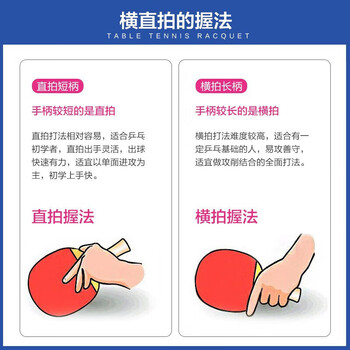 蝴蝶乒乓球拍一正一反5层底板二星级兵拍203-直拍/单只 含拍套