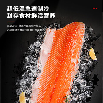 西屋（Westinghouse）513L全嵌入式冰箱原装进口海蒂诗铰链超薄全内嵌式镶嵌式隐藏式家用对开门TL-34X5+TF-29X5套装