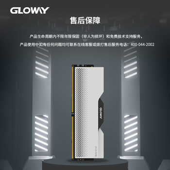 光威（Gloway）32GB(16GBx2) DDR5 6000 台式机内存条 龙武 马甲条 海力士M-die CL30 深空银