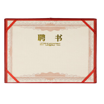得印（befon）聘书任命书 精致烫金荣誉证书 附单张聘书内芯 行政人事聘用证书 办公文具 12K单本装 2907