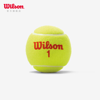 Wilson威尔胜美网联名青少年儿童网球比赛网球 3粒装 橙色