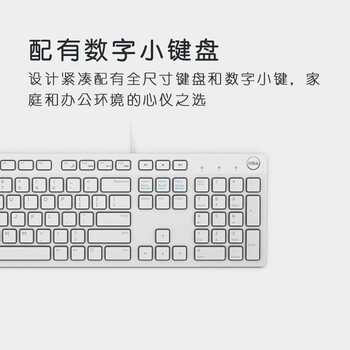 戴尔(DELL)KB216 有线键盘 办公键盘 全尺寸键盘 USB接口 白色 戴尔(DELL)KB216 有线键盘 办公键盘 全尺寸键盘 USB接口 白色