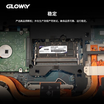 光威（Gloway）32GB DDR4 3200 笔记本内存条 战将 普条 精选颗粒 CL22