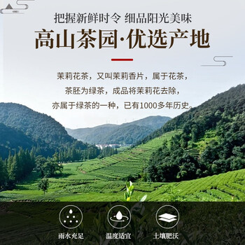 越乡茶叶茉莉花茶茉莉花浓香型春茶500g袋装 越乡茶叶茉莉花茶茉莉花浓香型春茶500g袋装