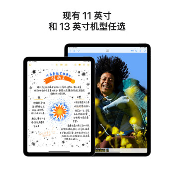 Apple/苹果 iPad Air 11英寸 M2芯片 2024年新款平板电脑(Air6/256G WLAN版/MUWK3CH/A)紫色