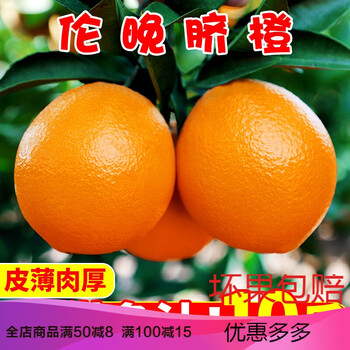 伦晚脐橙什么时候成熟(伦晚脐橙优缺点)