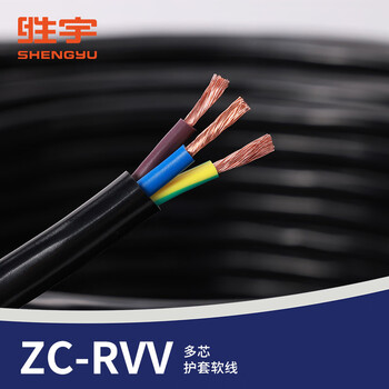 胜宇 ZR-RVV阻燃RVV国标电源线2芯2.5平方护套线 黑色-100米