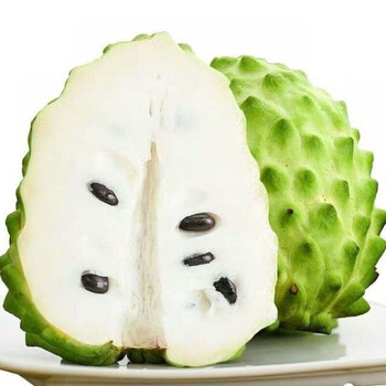 释迦果苗新红皮释迦树苗大个榴莲黄龙释迦盆栽地栽南北耐寒果树四季可