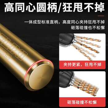 德力西电气（DELIXI ELECTRIC）高硬度麻花钻头不锈钢合金钢铁高速钢打孔DLX-042T【25件套】