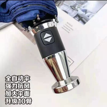 鲁凤来. 雨伞 全自动开合双人加大一键开收黑胶防晒10骨商务伞 (藏青色)