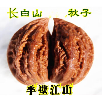 文玩核桃麻核桃机刷包浆玉化天然核桃官帽把玩练手核桃46左右