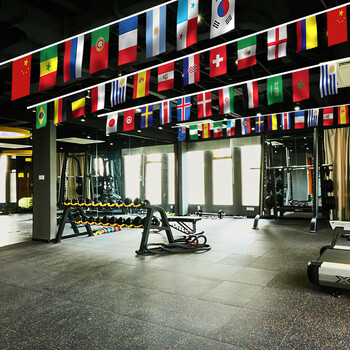 贸丰 各国国旗吊旗悬挂串旗酒吧活动教室布置装饰旗帜【8号各国】50面旗 约15米/1条