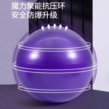 杜威克瑜伽球加厚防滑弹力成人健身球专业平衡核心训练 紫色55cm 杜威克瑜伽球加厚防滑弹力成人健身球专业平衡核心训练 紫色55cm
