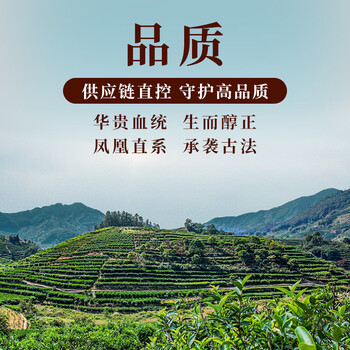 正山顶乌龙茶凤凰单枞蜜兰香一级500g纸包实惠口粮单丛茶自己喝