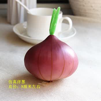 仿真草菇平菇水果蔬菜模型食材道具拍摄写生道具橱柜展示儿童玩具洋葱 图片价格品牌报价 京东