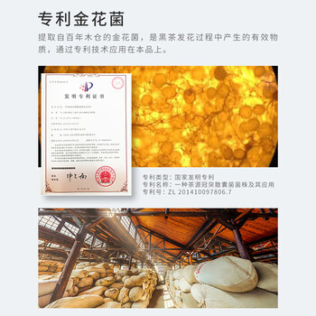 中茶茶叶 安化黑茶  安化小金花 金花茯茶 100g 中华老字号