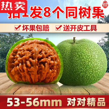 超大文玩核桃图片- 京东