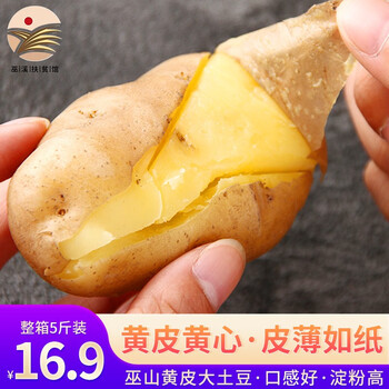 巫小溪重庆巫溪特产土豆新鲜马铃薯黄心洋芋中果产地直销5斤