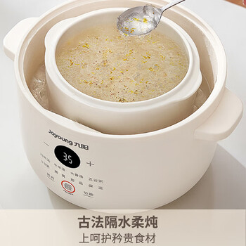 九阳（Joyoung）精巧容量电炖锅燕窝炖盅隔水炖锅宝宝辅食婴儿bb煲迷你煮粥煲汤锅一锅三胆 DG18G-GD187
