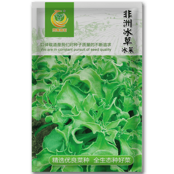 凤鸣雅世蔬菜种子西洋菜种子绿叶菜类组合日本冰菜种子日本京水菜 木耳菜四季播种春季夏季盆栽菜种子春季菜非洲冰草水晶冰菜种子1000粒 图片价格品牌报价 京东