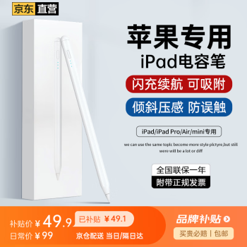 ipad mini拿着多大品牌及商品- 京东