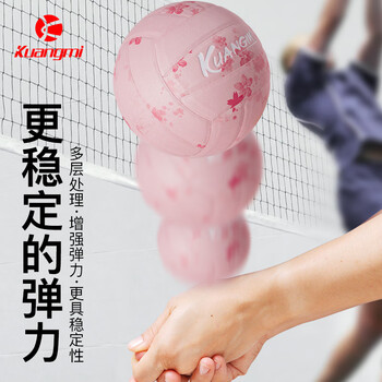 狂迷樱花粉排球5号中考专用学生生日礼物男女锻炼运动沙滩比赛训练
