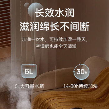 小熊（Bear）卧室净化大容量家用增湿器 桌面办公室加湿 【5L+双效净化+30h长加湿】JSQ-F50J3