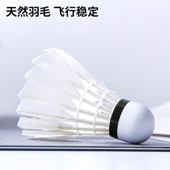 得力（deli）鹅毛娱乐羽毛球入门训练稳定匀速耐打训练不易烂天然毛羽球 3只装