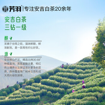 芳羽2026新茶预订安吉白茶核心原产地绿茶40克 茶叶 便携袋装春茶
