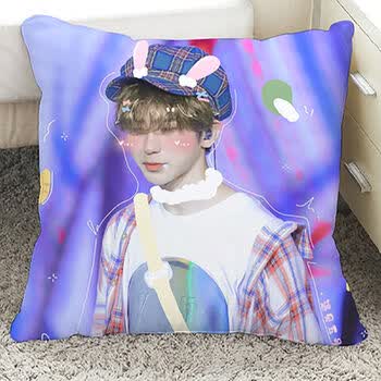 针锋对决蔡徐坤周边靠枕沙发垫生日礼物定制宿舍床头抱枕106双面同图