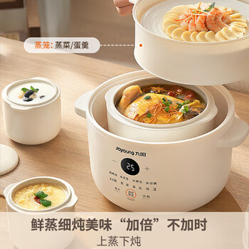 九阳（Joyoung）精巧容量电炖锅燕窝炖盅隔水炖锅宝宝辅食婴儿bb煲迷你煮粥煲汤锅一锅三胆 DG18G-GD187