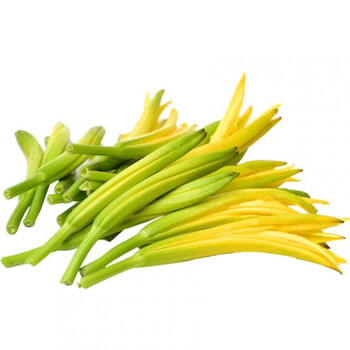 新鲜黄花菜农家种植现摘现发金针菜忘忧草新鲜蔬菜凉拌菜食材团建送礼