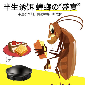 地依猫蟑螂药全杀蟑胶饵除蟑螂魔盒家用端灭蟑神器小强克星窝蟑螂屋