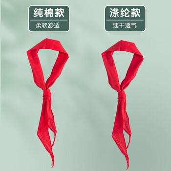 晨光生活文具小学生红领巾 涤纶少先队员红领巾 标准耐变色透气速干 1.2m单条装 开学文具ASCN9523