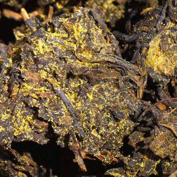 泾渭茯茶茯多多茯砖茶礼盒装850g咸阳茯砖茶2018年陈茶茶叶送礼 泾渭茯茶茯多多茯砖茶礼盒装850g咸阳茯砖茶2018年陈茶茶叶送礼
