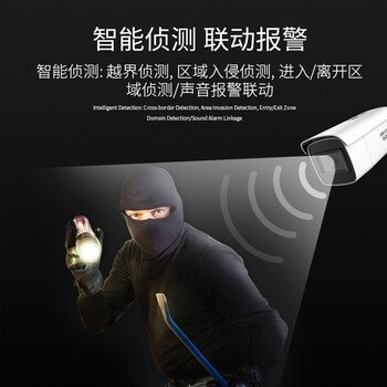 HIKVISION海康威视监控摄像头智能变焦400万超清室外网线供电智能语音对讲3646FWDA3/F-LZS 2.7-12mm