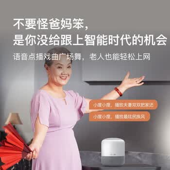 小度智能音箱 蓝牙音响语音声控控制家居红外遥控家电家教学习 智能家居 闹钟 收音机 旗舰版
