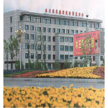 柳河木王家具集团有限公司债权项目