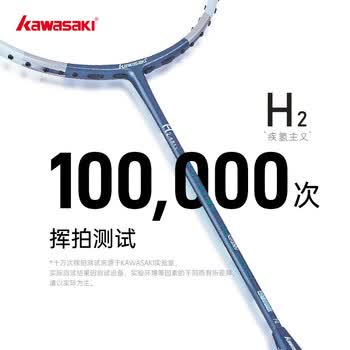 川崎（KAWASAKI）羽毛球拍单拍全碳素超轻专业耐用型6U疾氢主义H2白灰（已穿线）