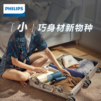 飞利浦（PHILIPS）手持挂烫机家用蒸汽挂烫机小型便携式熨烫机 20g/min 100ML 可折叠元气筒 STH3000/28 送礼送礼