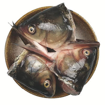 现杀草鱼头2斤4斤 溱湖新鲜淡水鱼现捕净膛去鳃鱼头汤食材批发 草鱼头