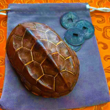 溥畔天然龟甲六爻龟壳空龟黄金甲草龟壳巴西龟壳文玩龟壳龟壳把件摆件