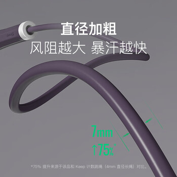 Keep负重跳绳健身运动成人健身绳家用无绳大球+有绳组合款/海雾紫