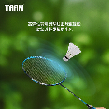 Taan泰昂羽毛球线高弹炫音羽拍专业线击球清脆羽精灵浅湖蓝单条