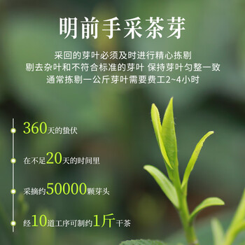 西湖狮井2026新茶明前特级西湖龙井绿茶叶礼盒装100g高端送礼品老人物长辈