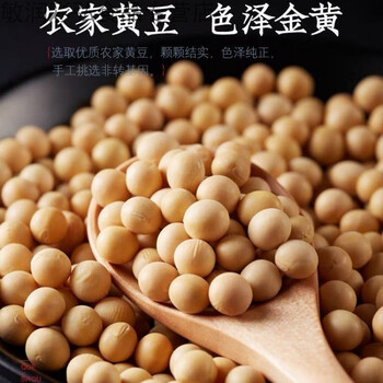 茗仟5斤东北笨黄豆新鲜大豆大豆子豆浆原料营养早餐500g农家精品新