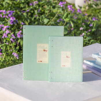 国誉Littlewoods系列四孔活页本大容量可换内页笔记本子 A5/40页横线 雪松蓝 1本 WSG-RUNP82LB