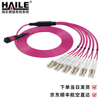 HAILE海乐 多模万兆MPO-LC12芯 40G转10G/100G转25G多模万兆OM4 MPO分支光纤线 20米 MPO-MTA12-LC-20M