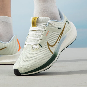 耐克（NIKE）男鞋2024夏新款PEGASUS 飞马40运动休闲轻便透气耐磨跑步鞋DC8793 FV3631-081 PEGASUS 40 42